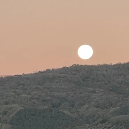 Buian's - Rilassante Tra Le Colline Toscane Apartmán